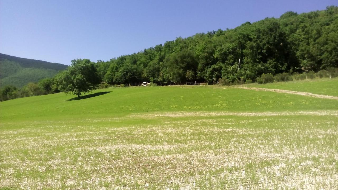 Agriturismo Il Casale Degli Amici นอร์ชา ภายนอก รูปภาพ