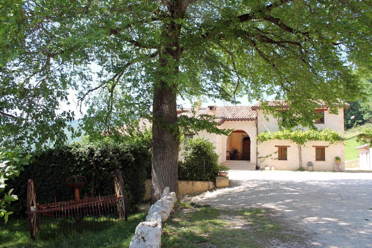 Agriturismo Il Casale Degli Amici นอร์ชา ภายนอก รูปภาพ